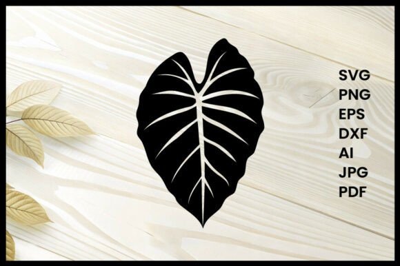 Alocasia Leaf Illustration Silhouette
