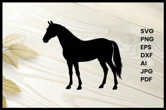 Horse on Illustration Silhouette