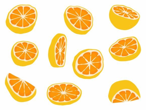 Ripe Orange Fruit Slice Illustration
