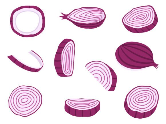 Slice Red Onion Illustration